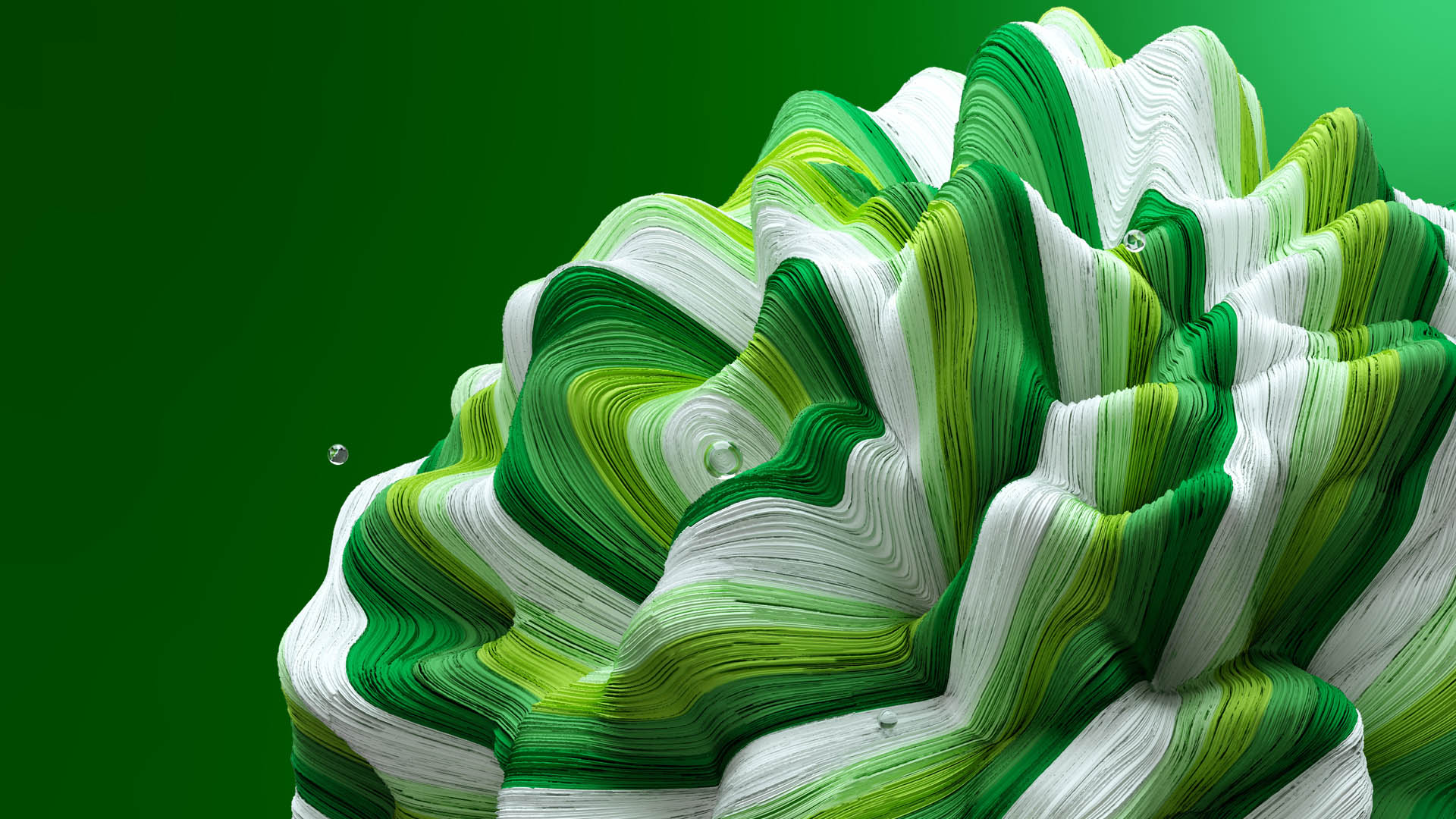 GIF Image