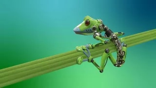 Robot_Frog